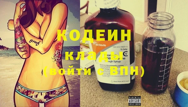 крисы Дмитриев